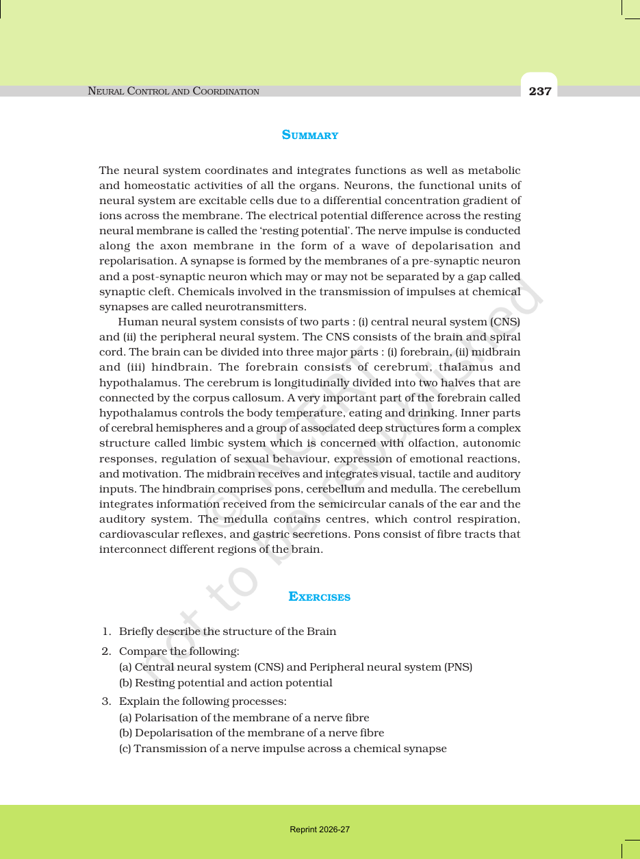Page 8 of Neural Control and Coordination