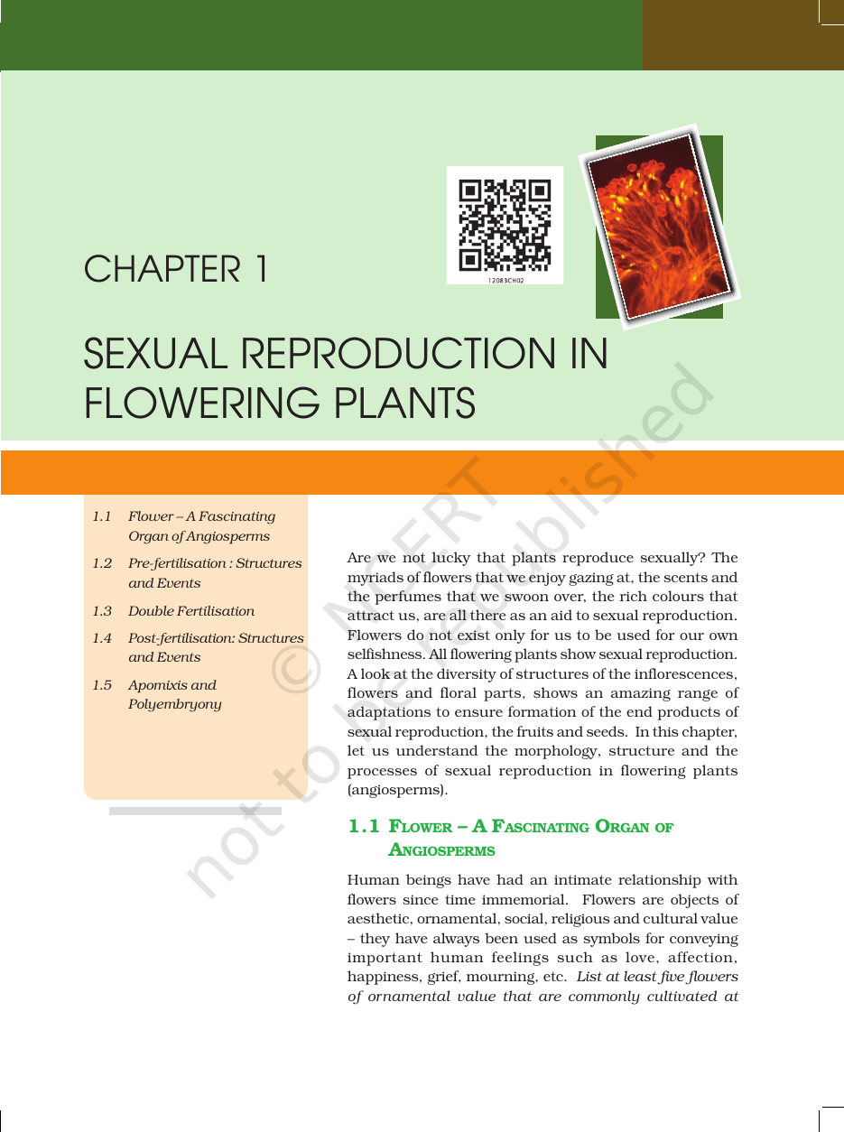 Page 3 of Sexual Reproduction in Flowering Plants