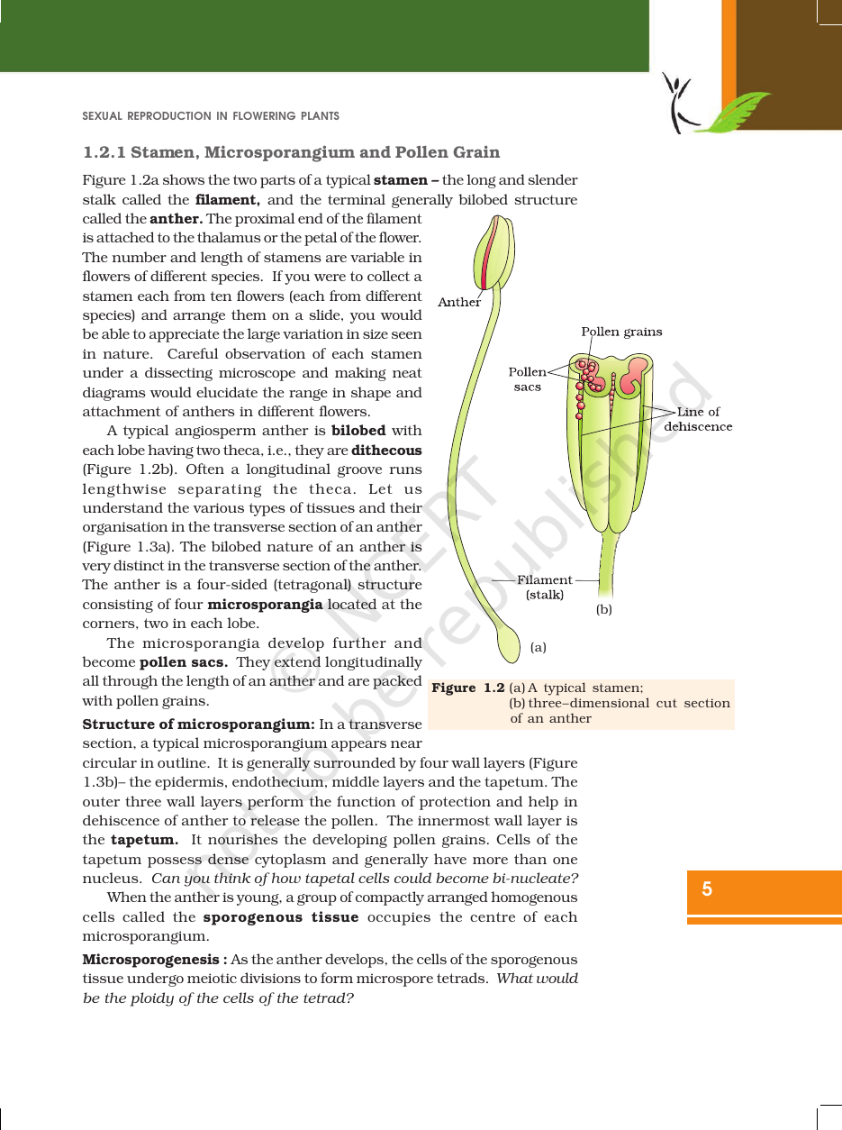 Page 5 of Sexual Reproduction in Flowering Plants