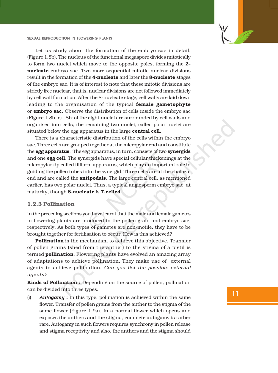 Page 11 of Sexual Reproduction in Flowering Plants