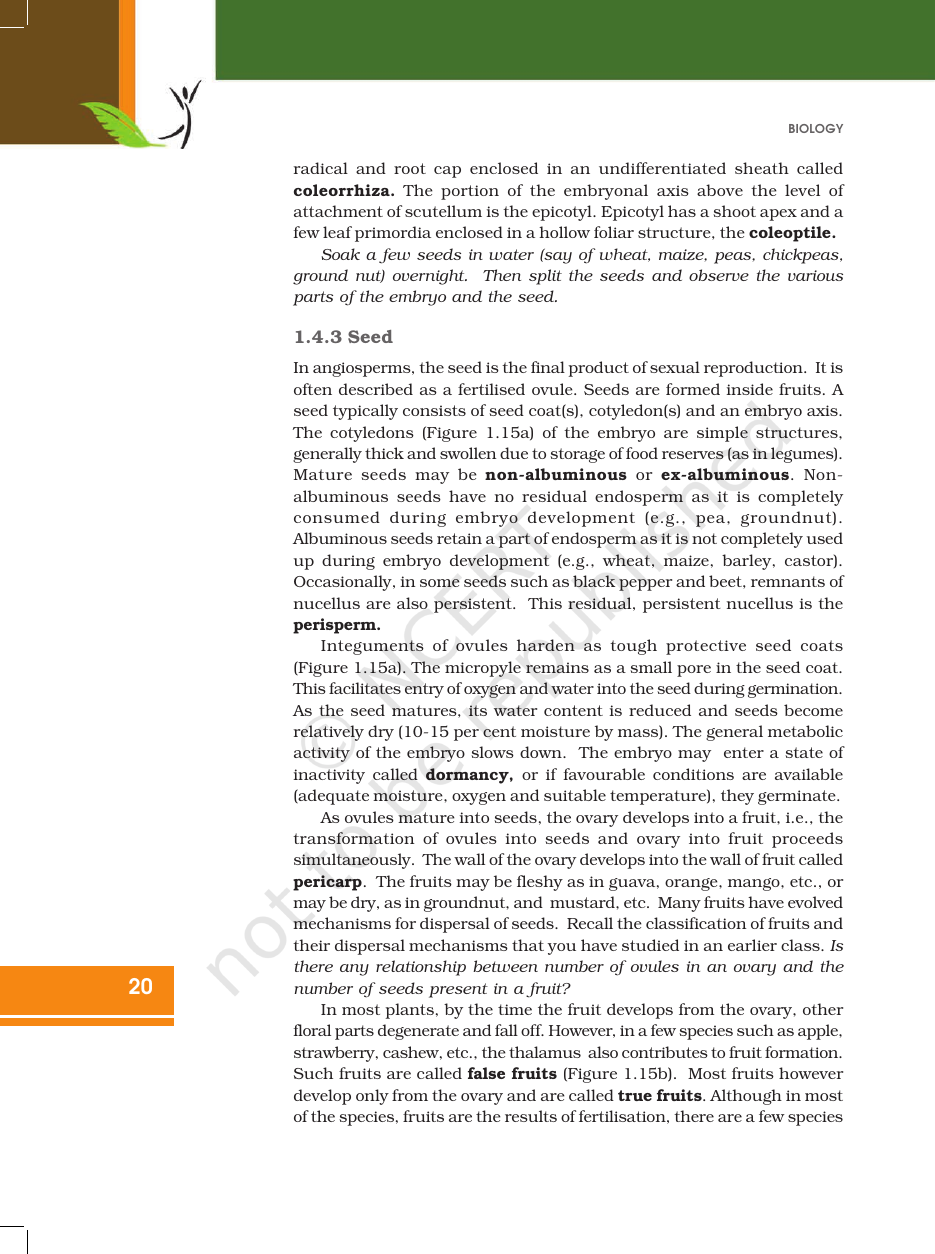 Page 20 of Sexual Reproduction in Flowering Plants