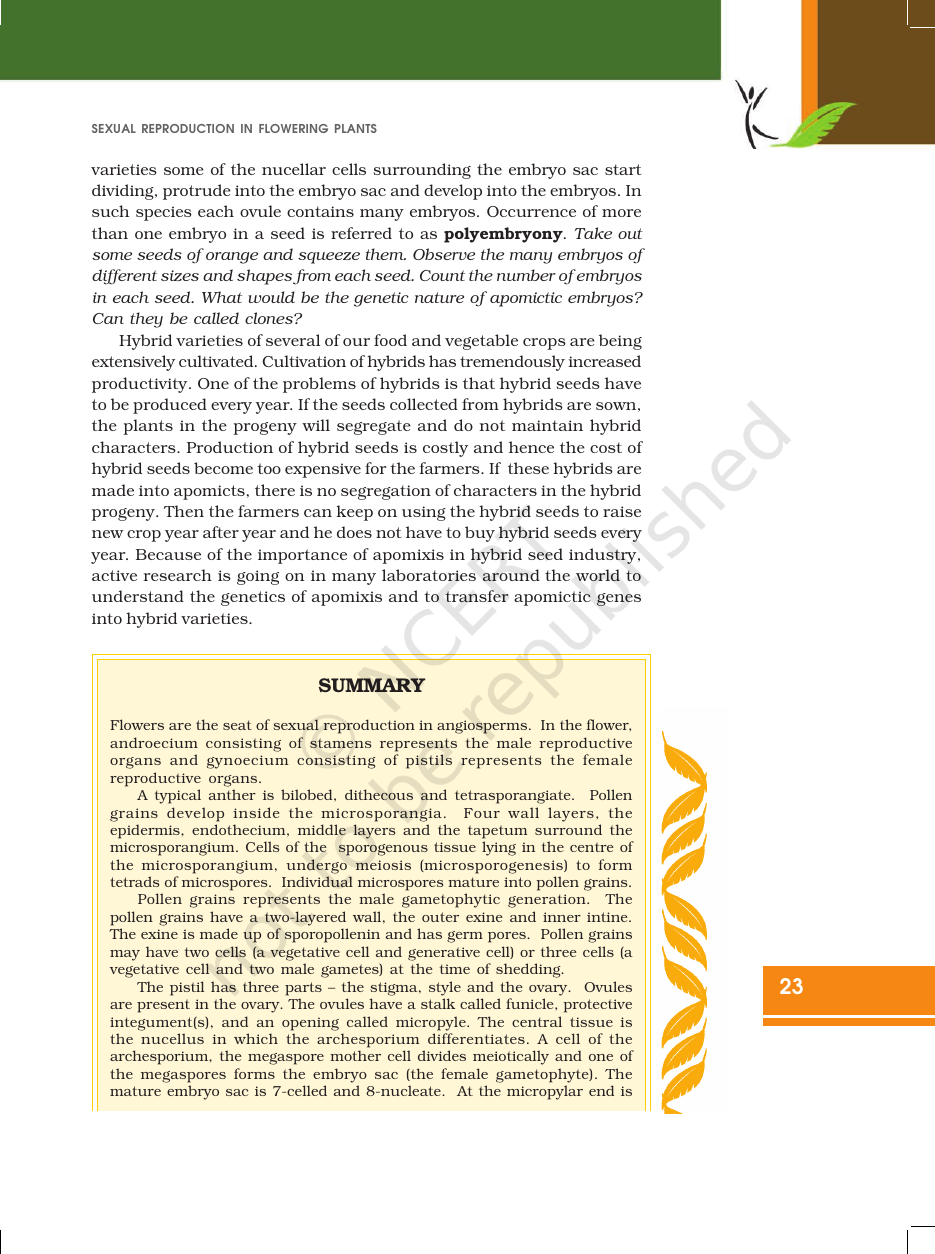 Page 23 of Sexual Reproduction in Flowering Plants