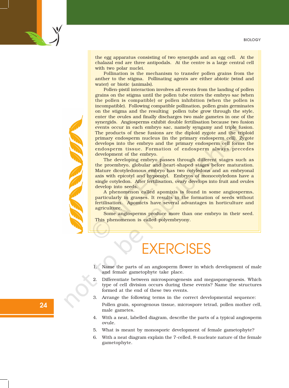 Page 24 of Sexual Reproduction in Flowering Plants