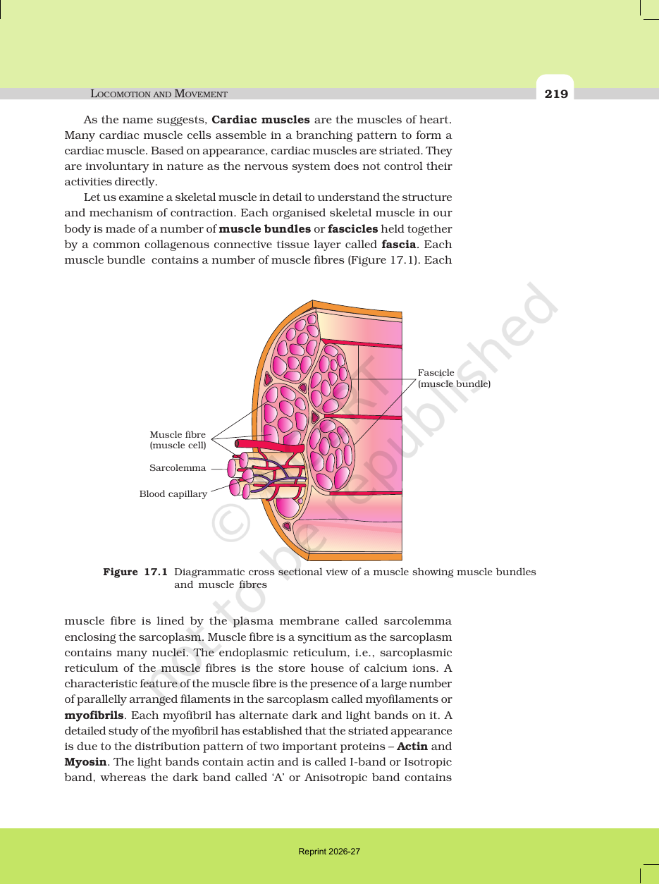 Page 3 of Locomotion and Movement