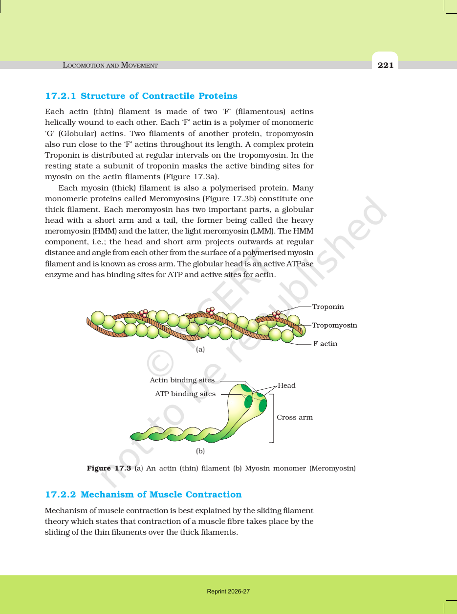 Page 5 of Locomotion and Movement