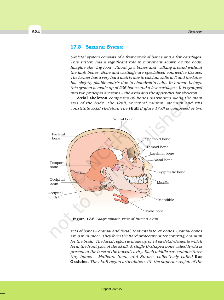Page 8 of Locomotion and Movement