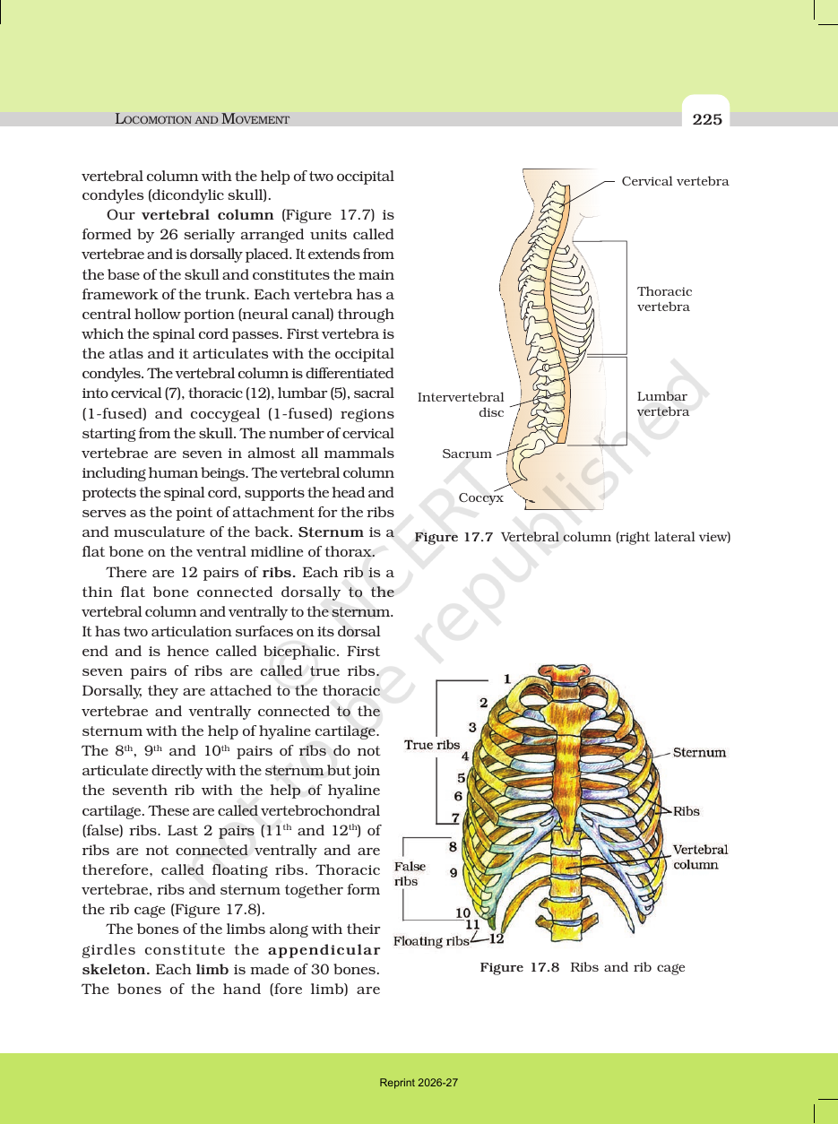 Page 9 of Locomotion and Movement