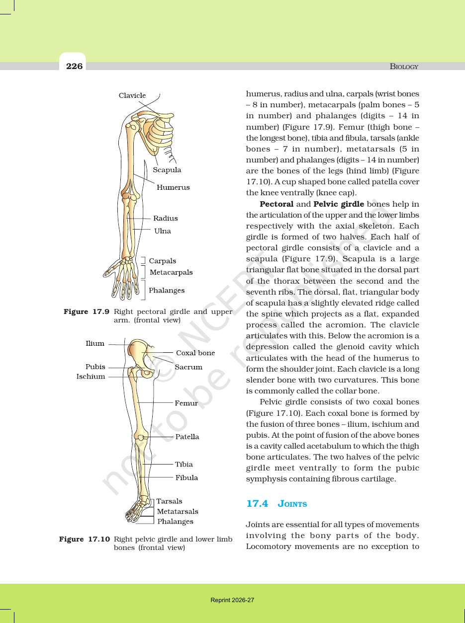 Page 10 of Locomotion and Movement