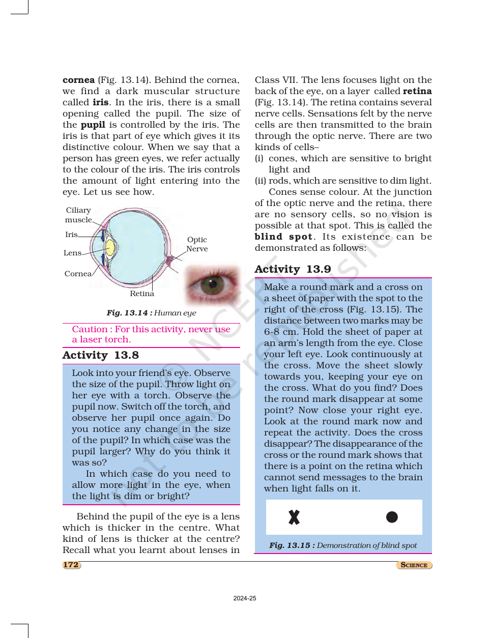 Page 8 of Light