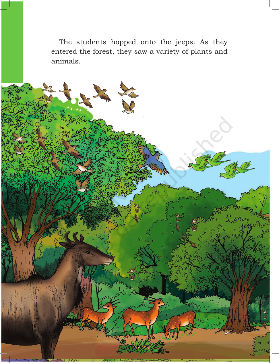 Page 6 of A Day with Nandu