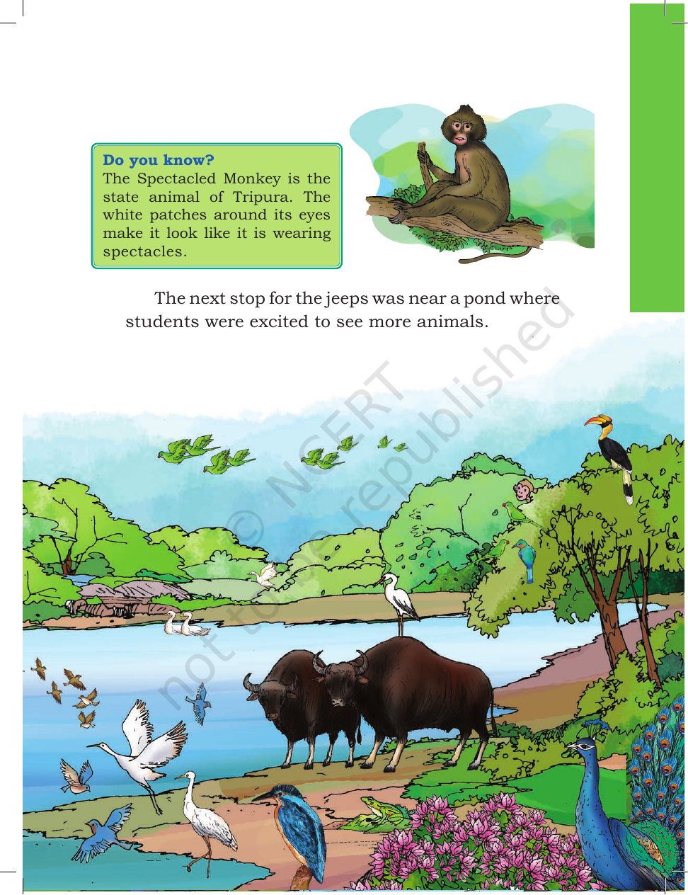 Page 9 of A Day with Nandu