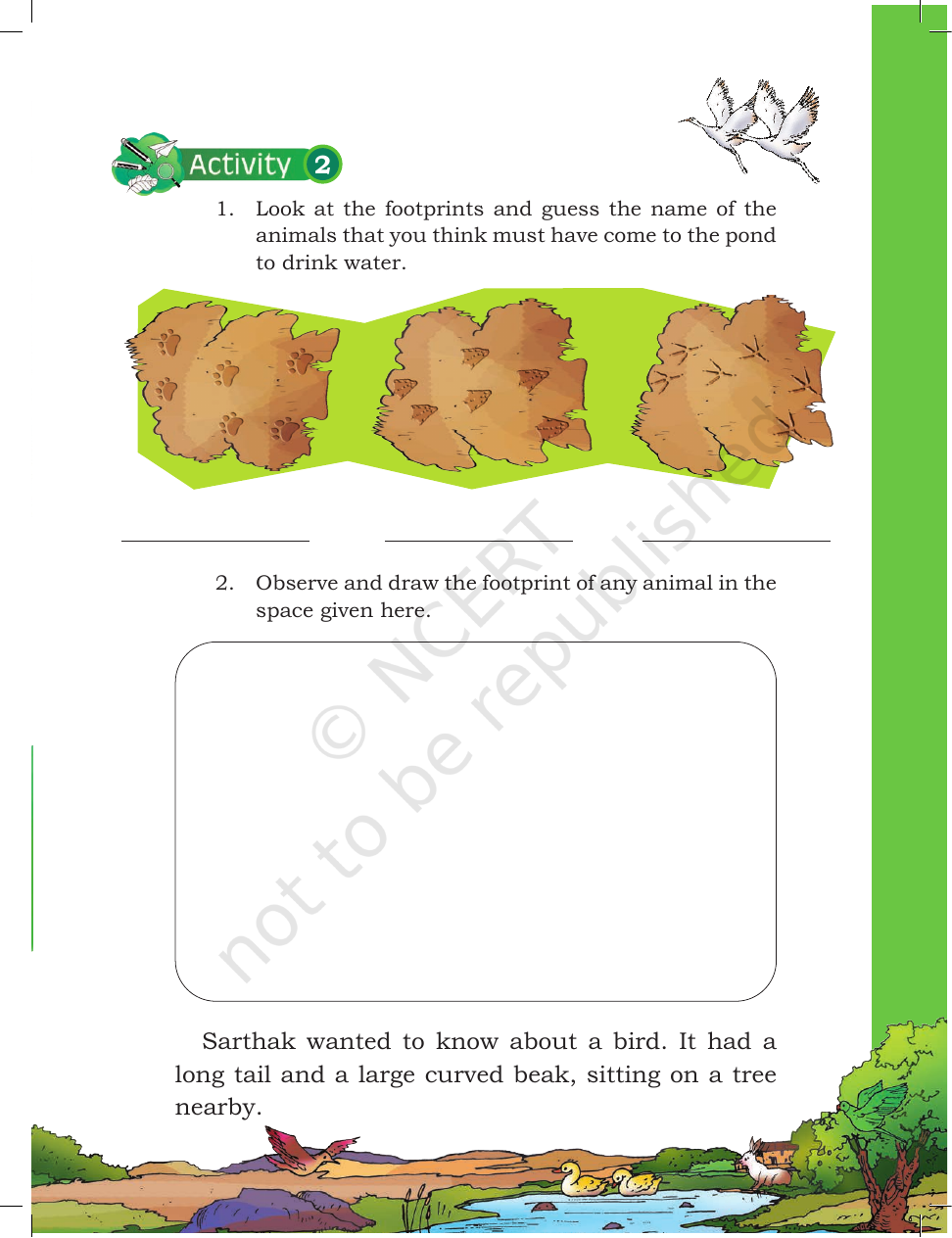 Page 11 of A Day with Nandu