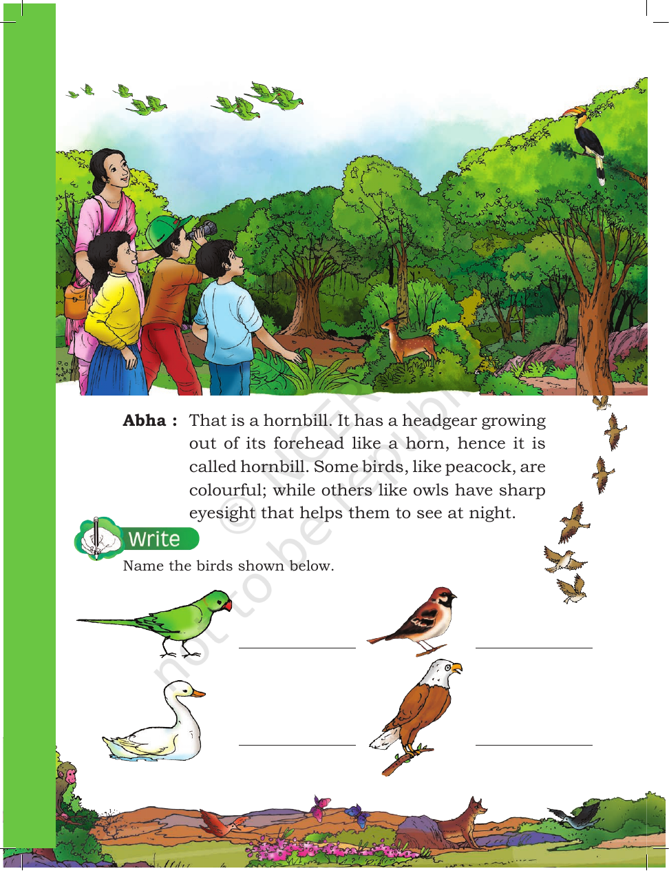 Page 12 of A Day with Nandu