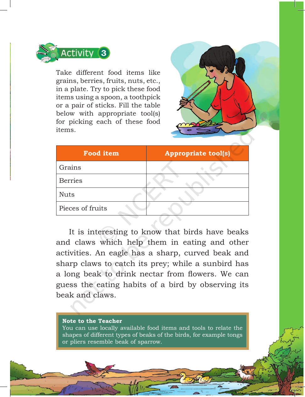 Page 13 of A Day with Nandu