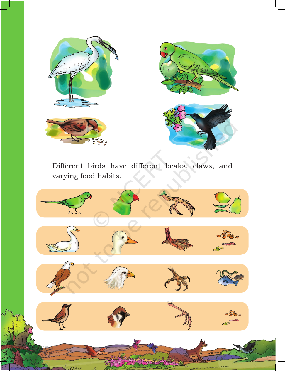 Page 14 of A Day with Nandu