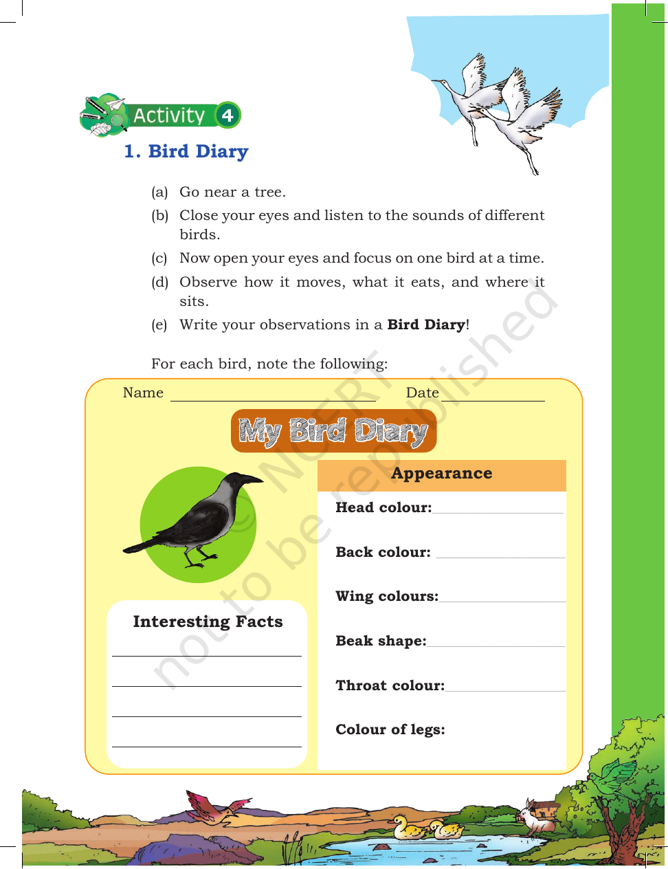 Page 15 of A Day with Nandu
