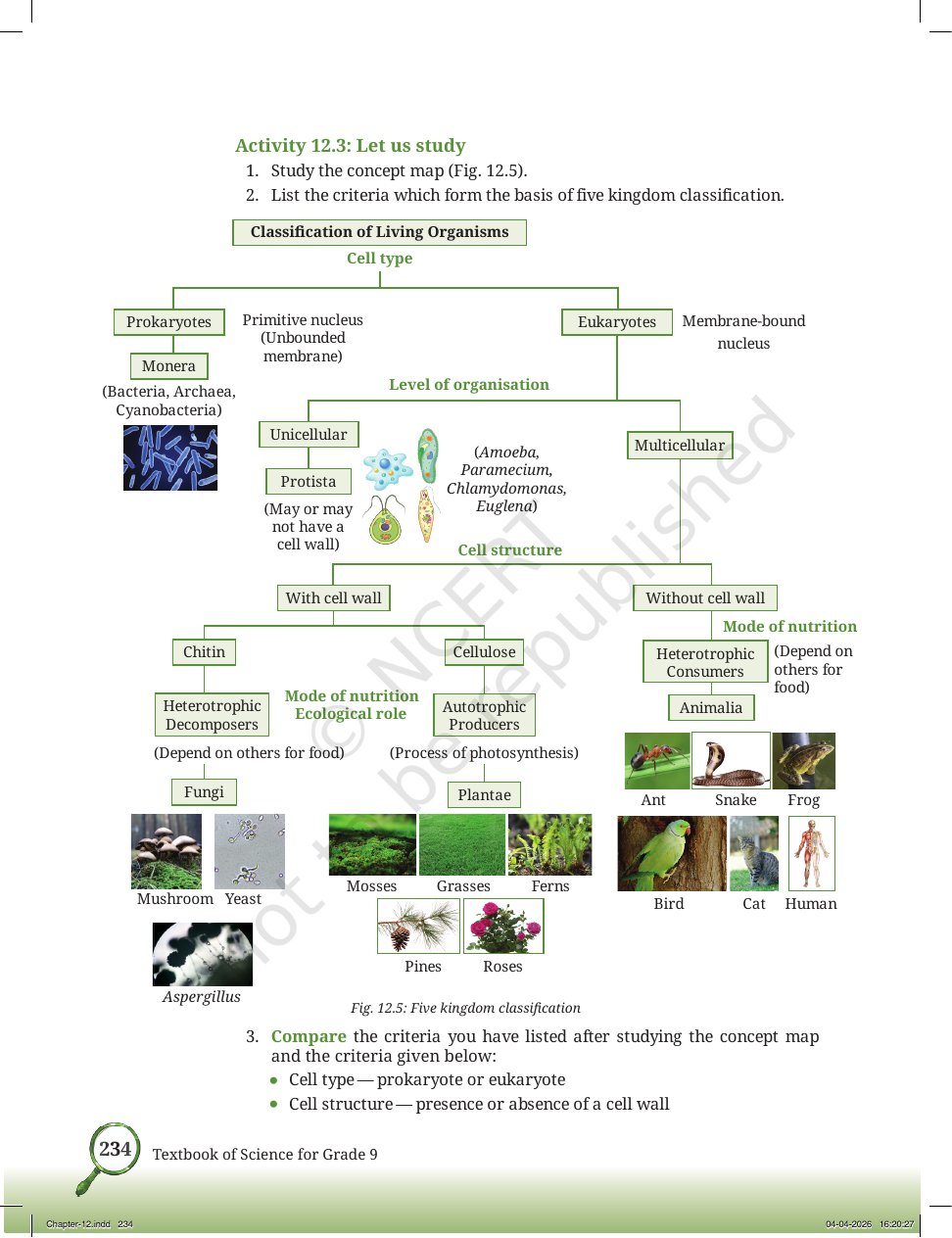 Page 7 of Improvement in Food Resources