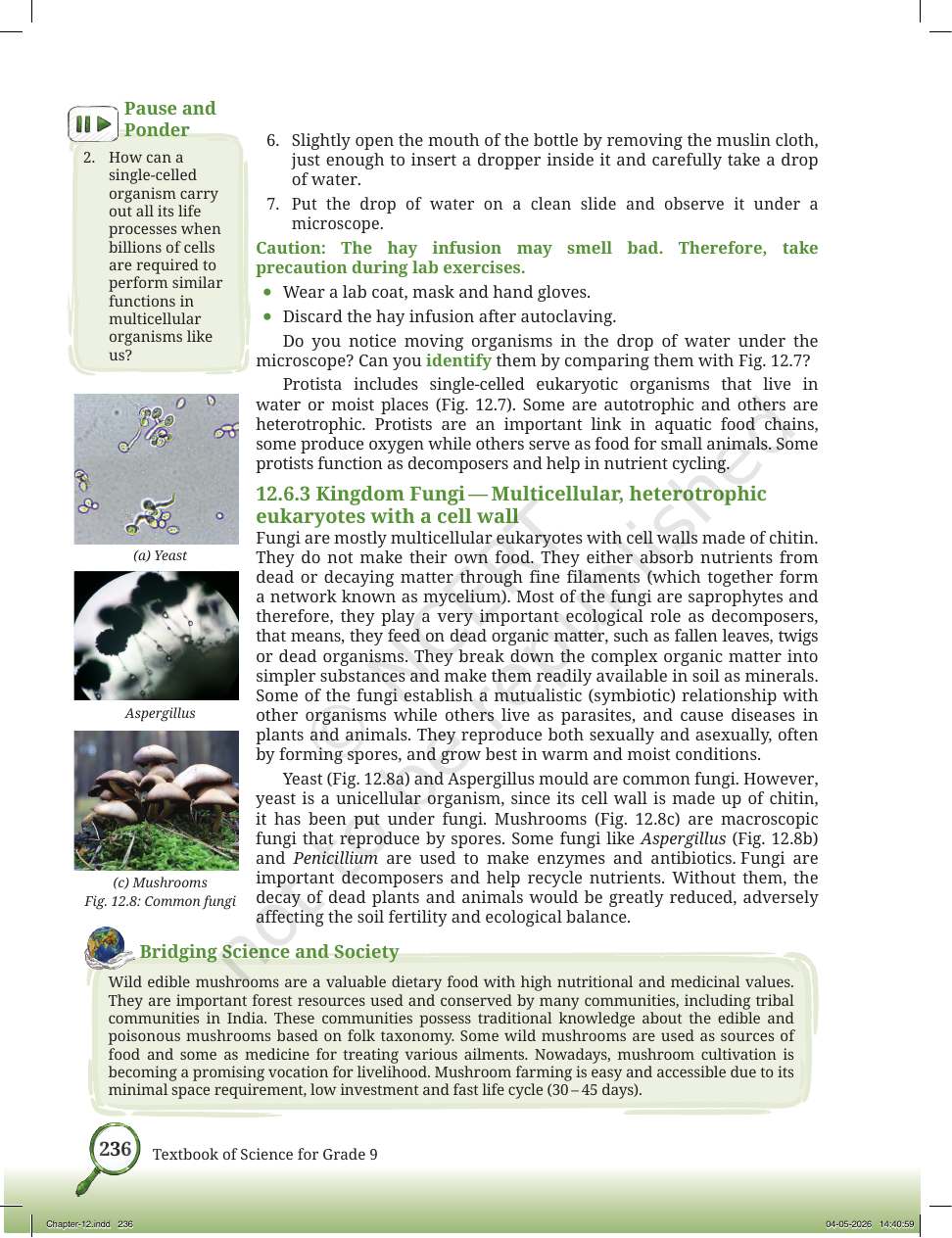 Page 9 of Improvement in Food Resources