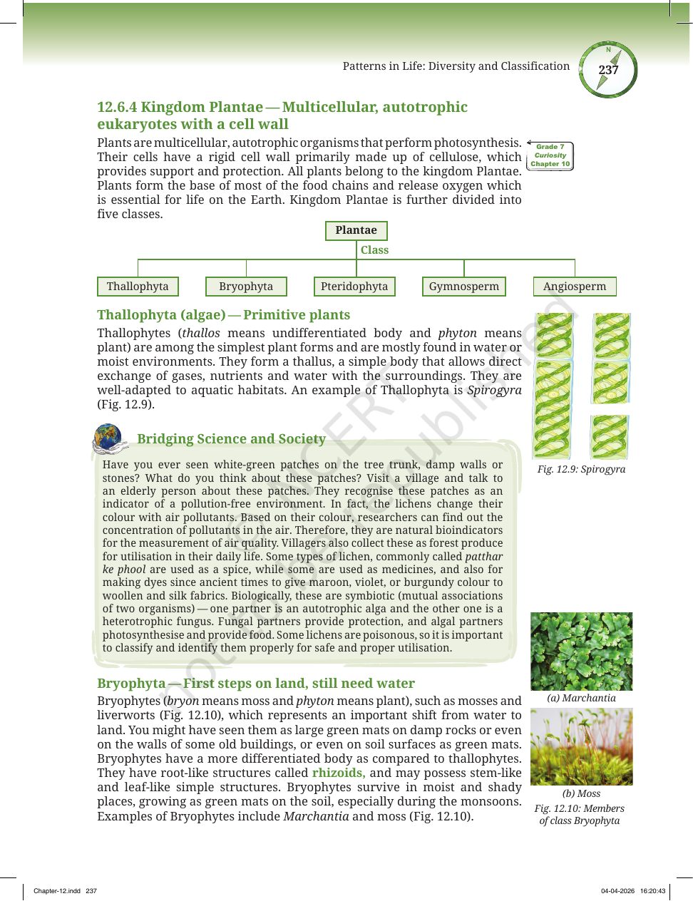 Page 10 of Improvement in Food Resources