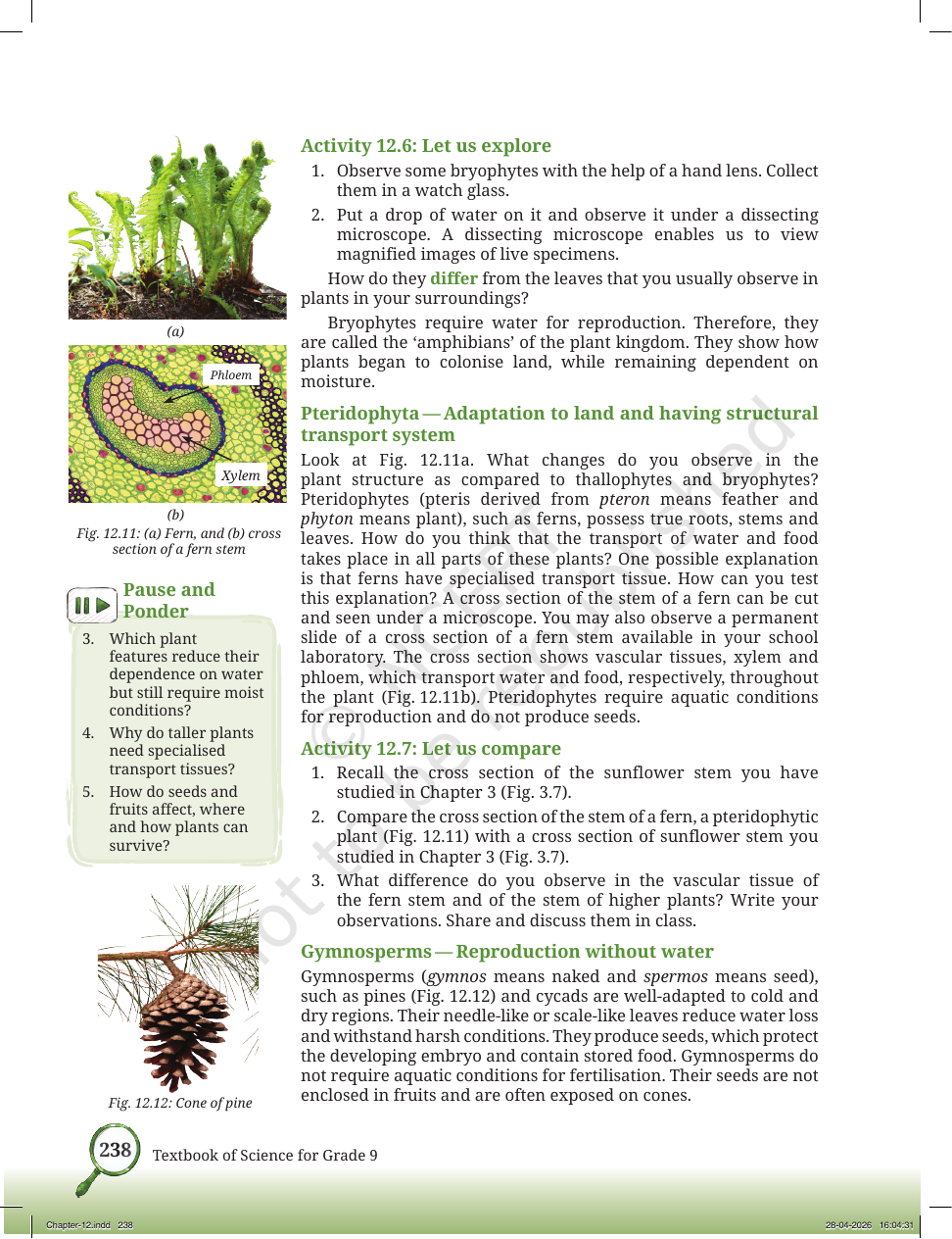 Page 11 of Improvement in Food Resources