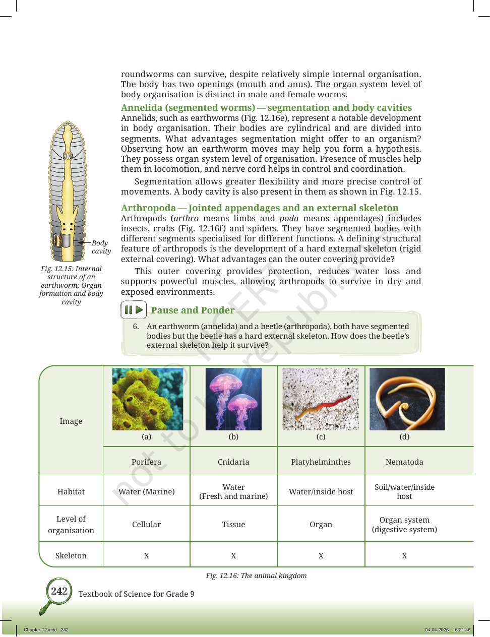 Page 15 of Improvement in Food Resources