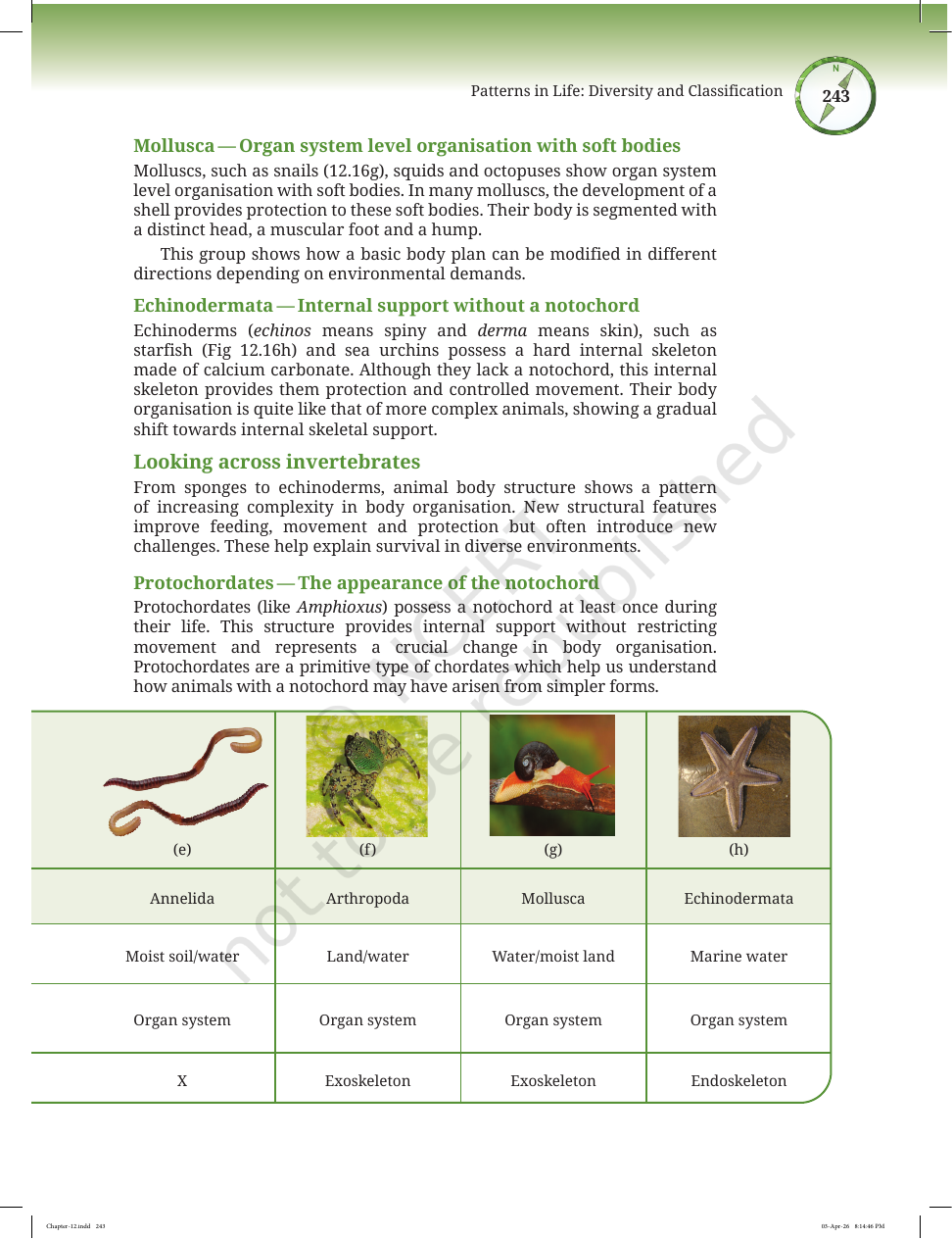 Page 16 of Improvement in Food Resources