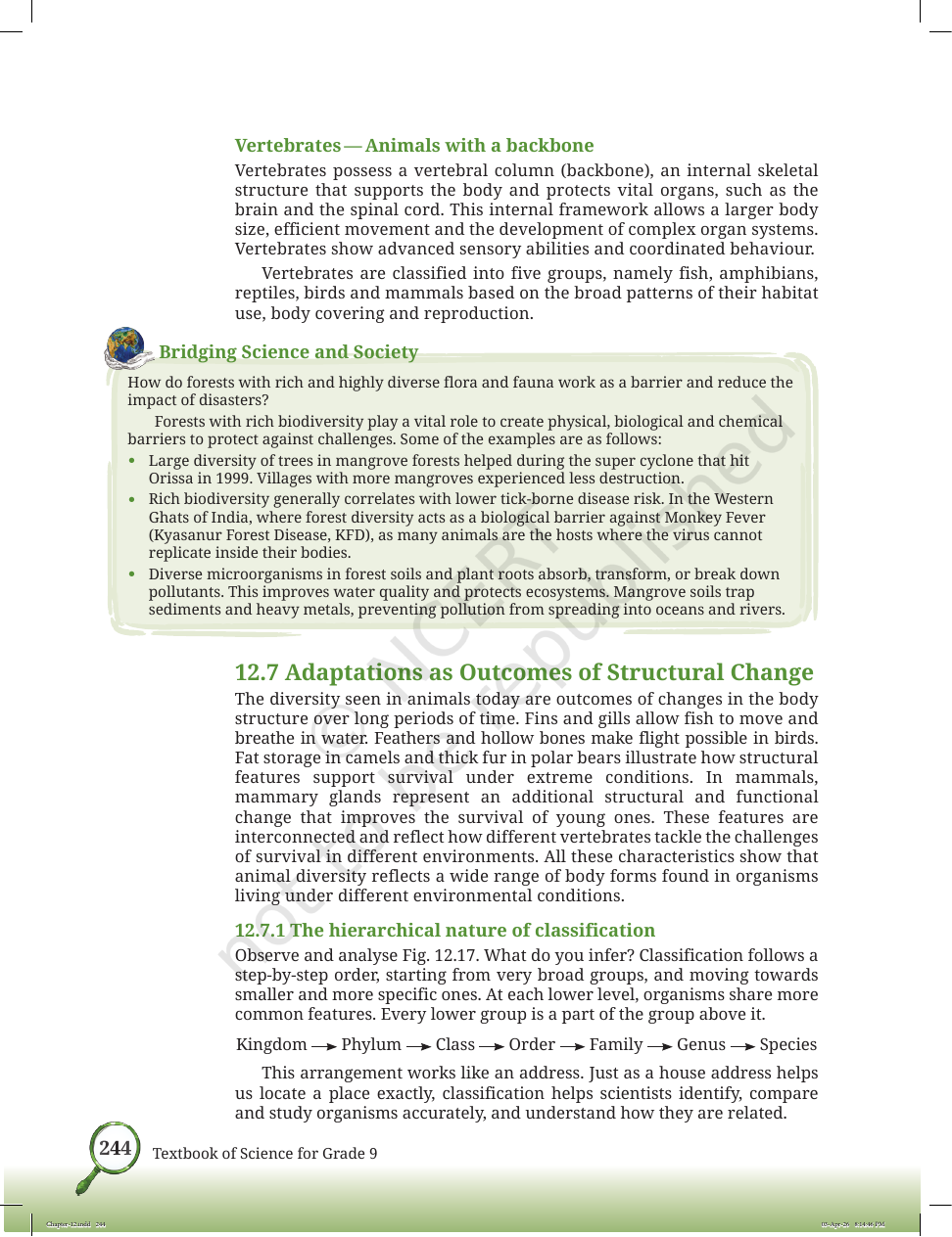 Page 17 of Improvement in Food Resources
