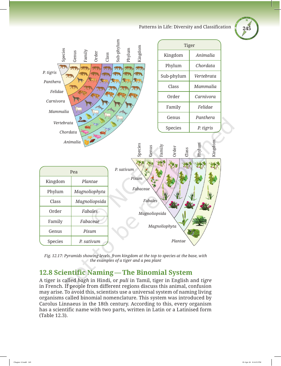 Page 18 of Improvement in Food Resources
