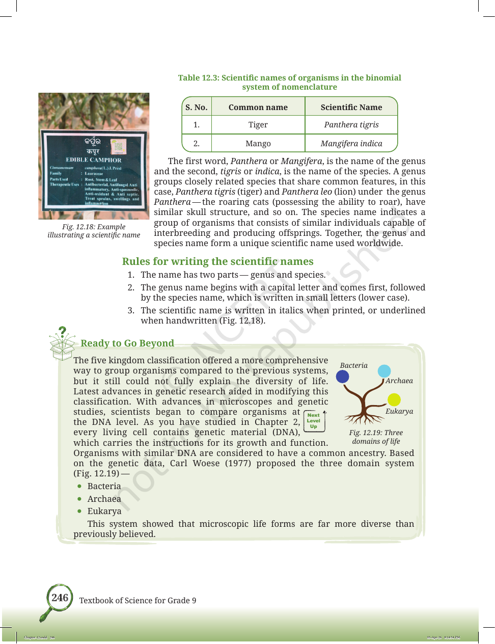 Page 19 of Improvement in Food Resources