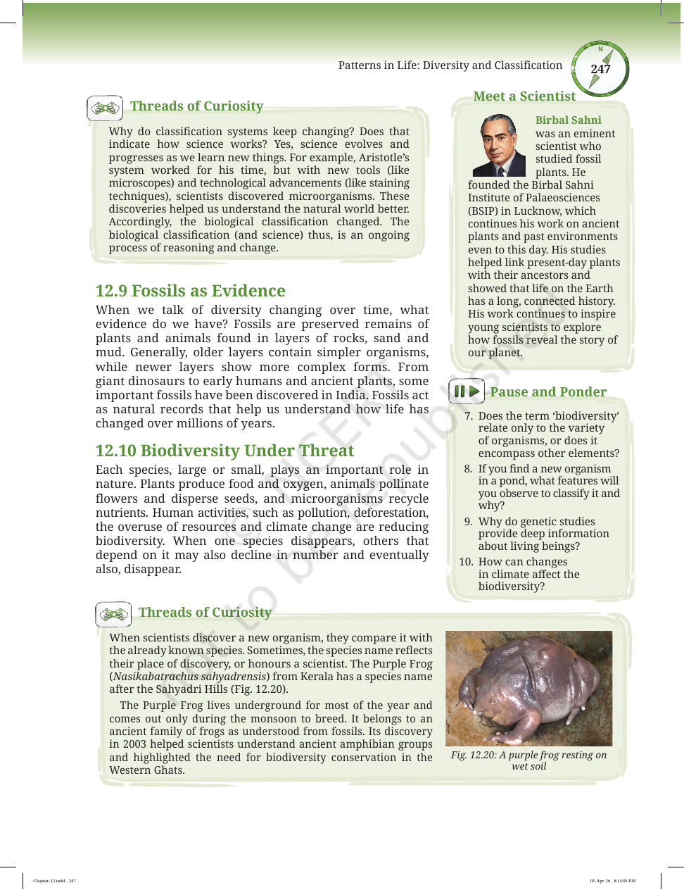 Page 20 of Improvement in Food Resources