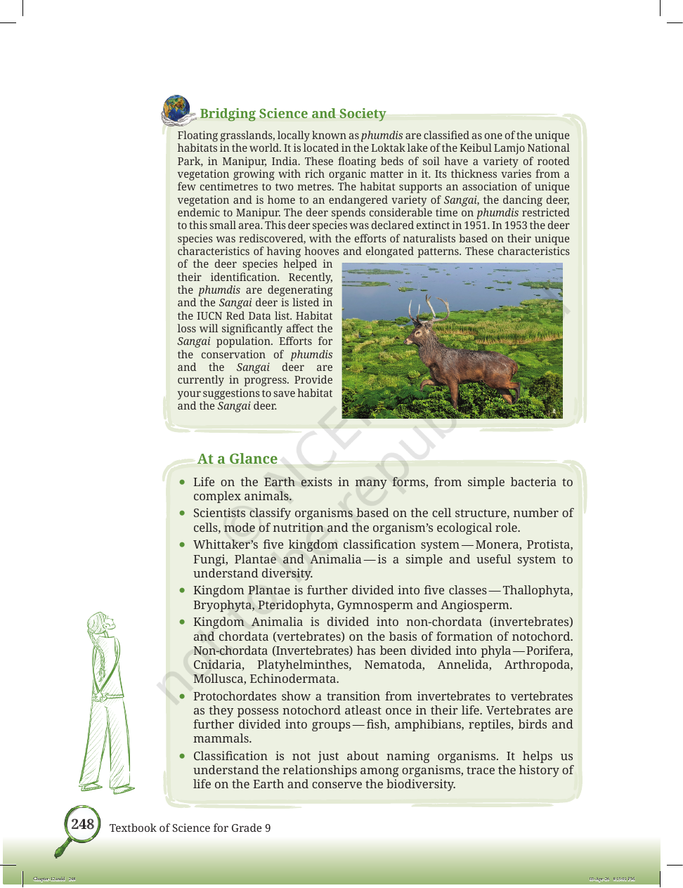 Page 21 of Improvement in Food Resources