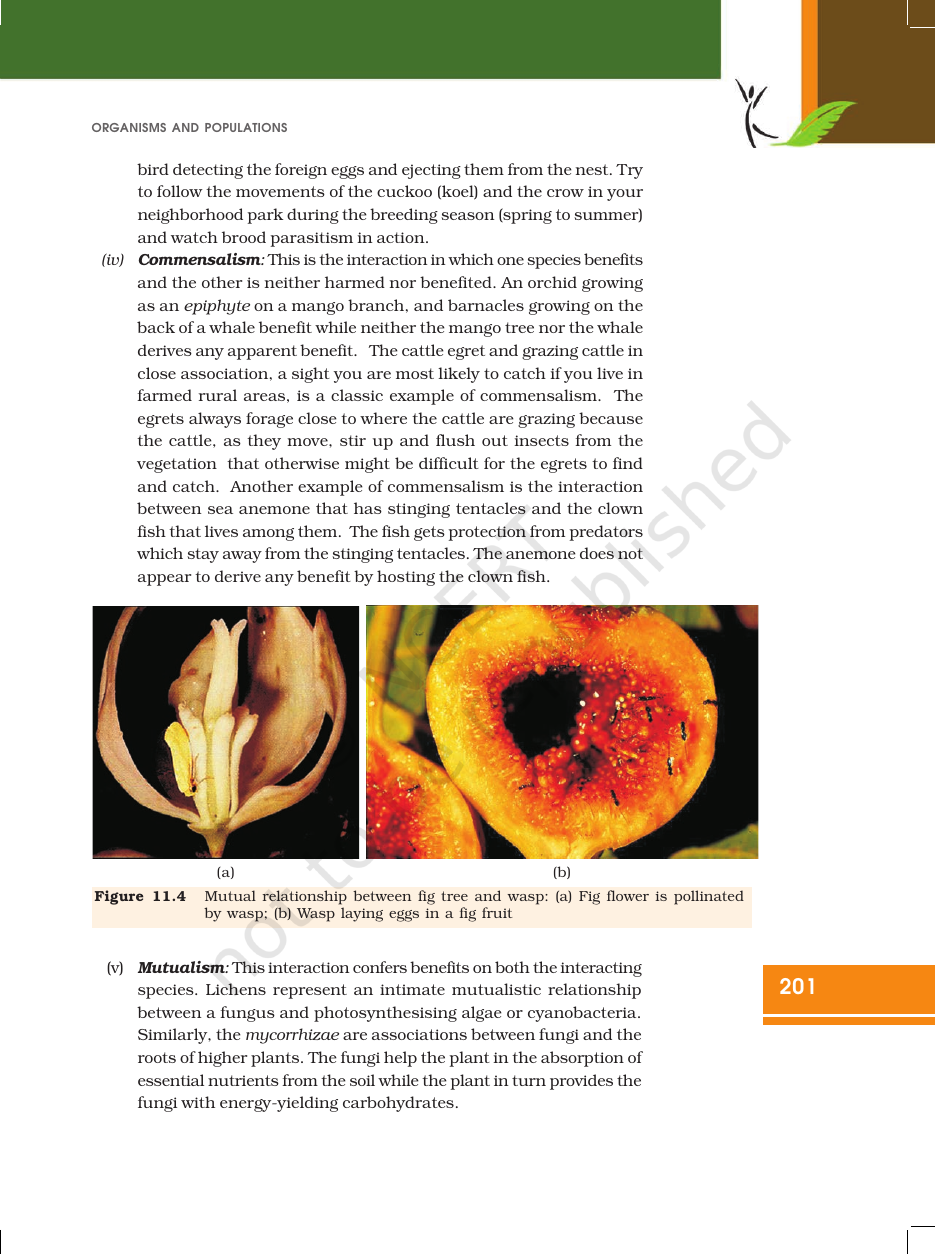 Page 14 of Organisms and Populations