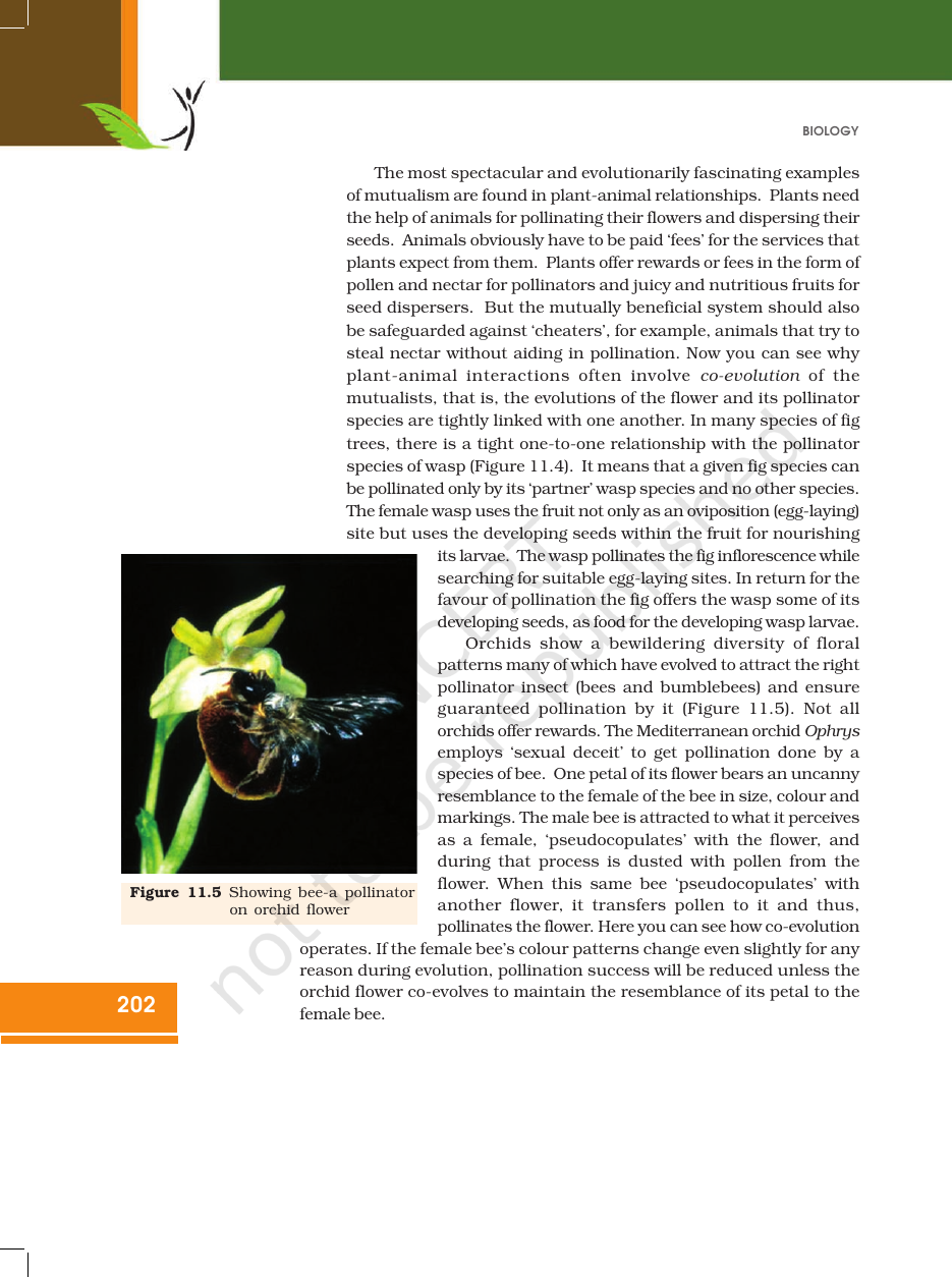 Page 15 of Organisms and Populations