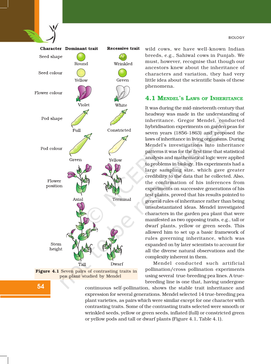 Page 4 of Principles of Inheritance and Variation