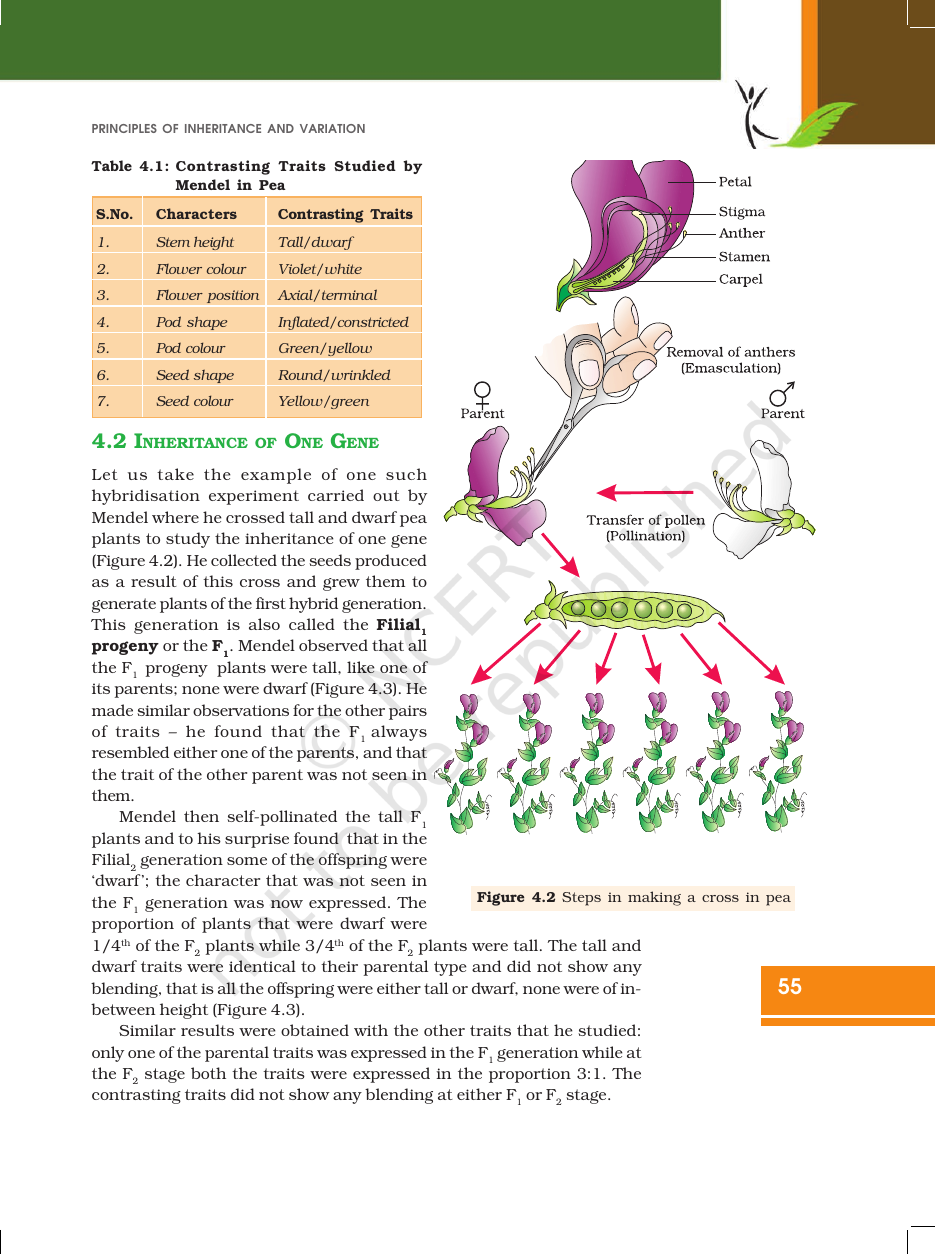 Page 5 of Principles of Inheritance and Variation