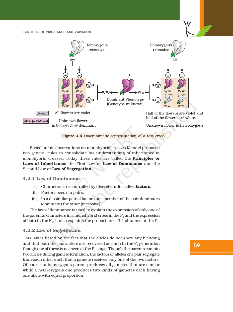 Page 9 of Principles of Inheritance and Variation
