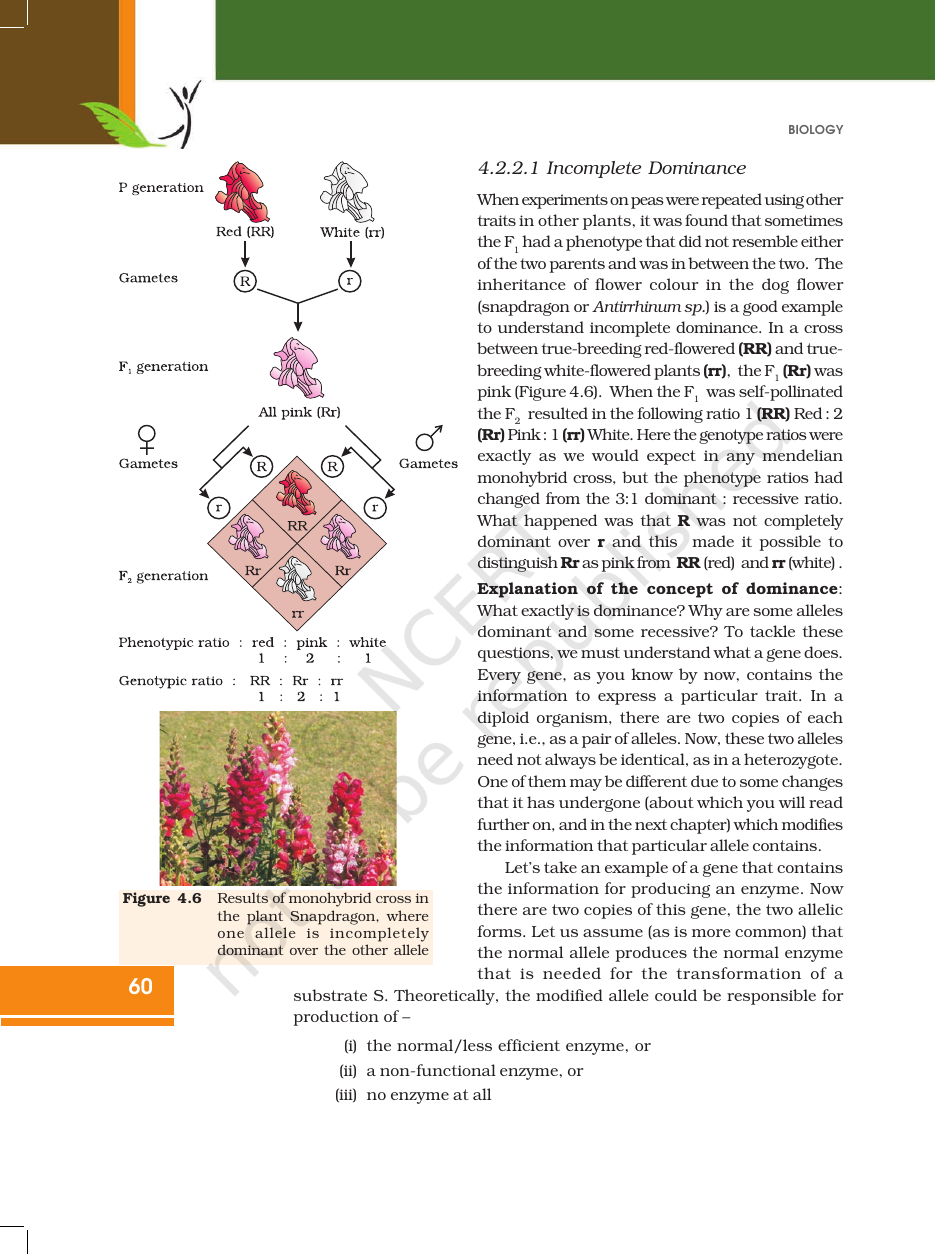 Page 10 of Principles of Inheritance and Variation