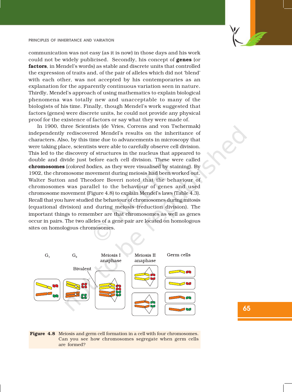 Page 15 of Principles of Inheritance and Variation