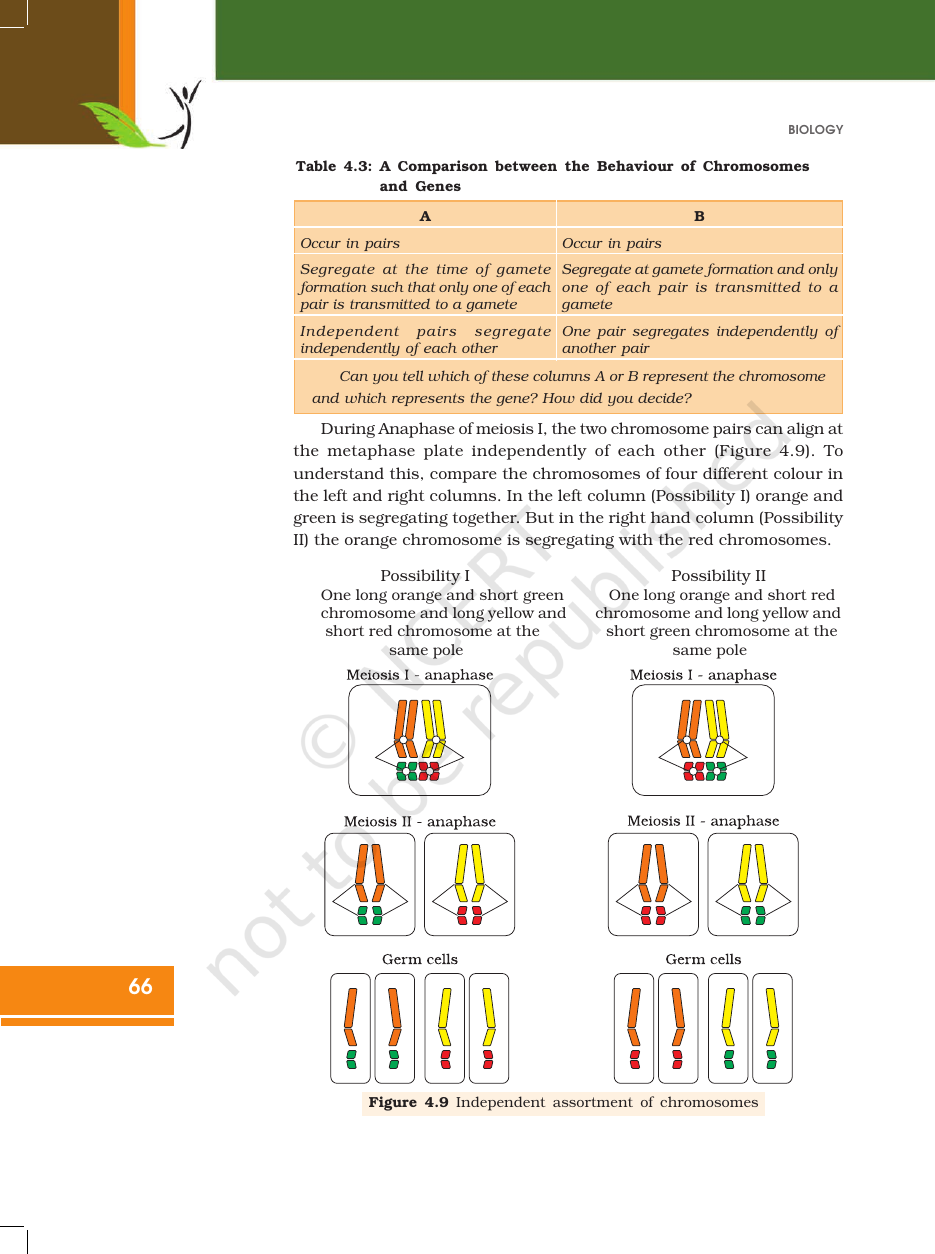 Page 16 of Principles of Inheritance and Variation