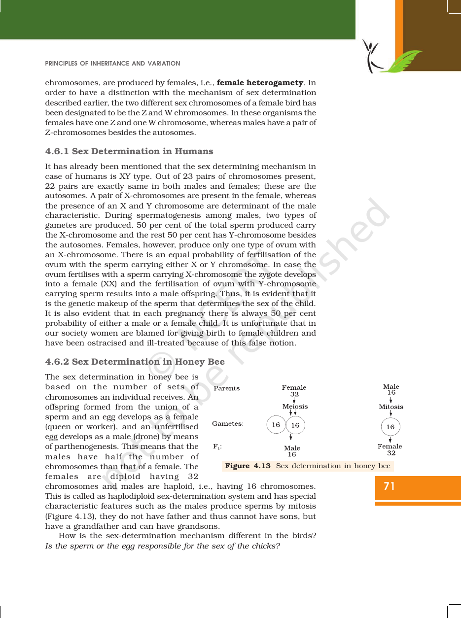 Page 21 of Principles of Inheritance and Variation