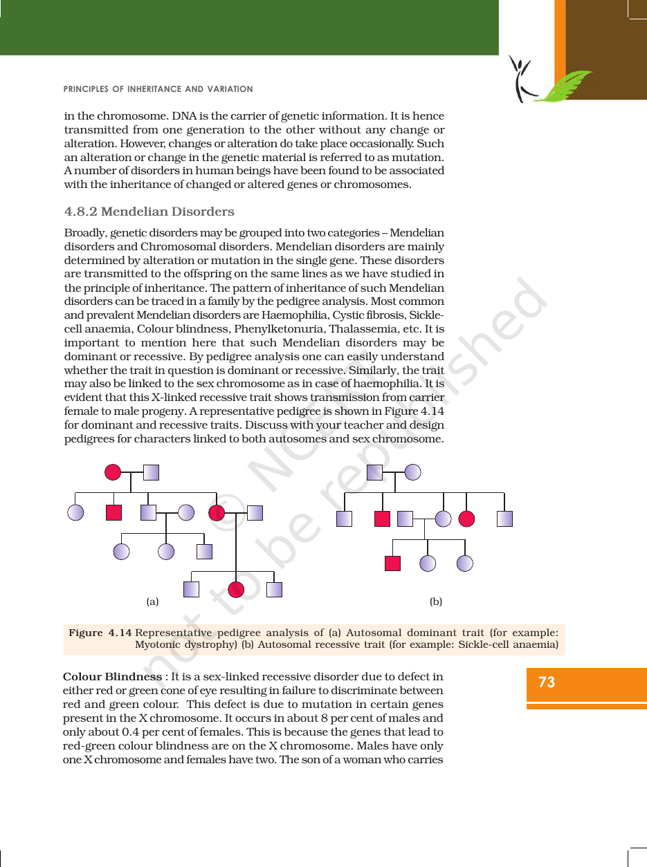 Page 23 of Principles of Inheritance and Variation