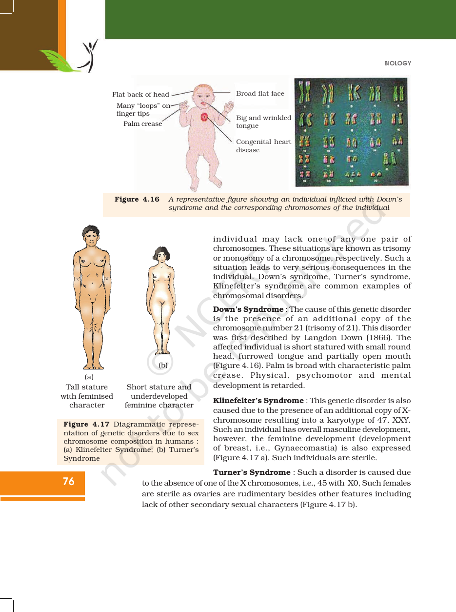 Page 26 of Principles of Inheritance and Variation