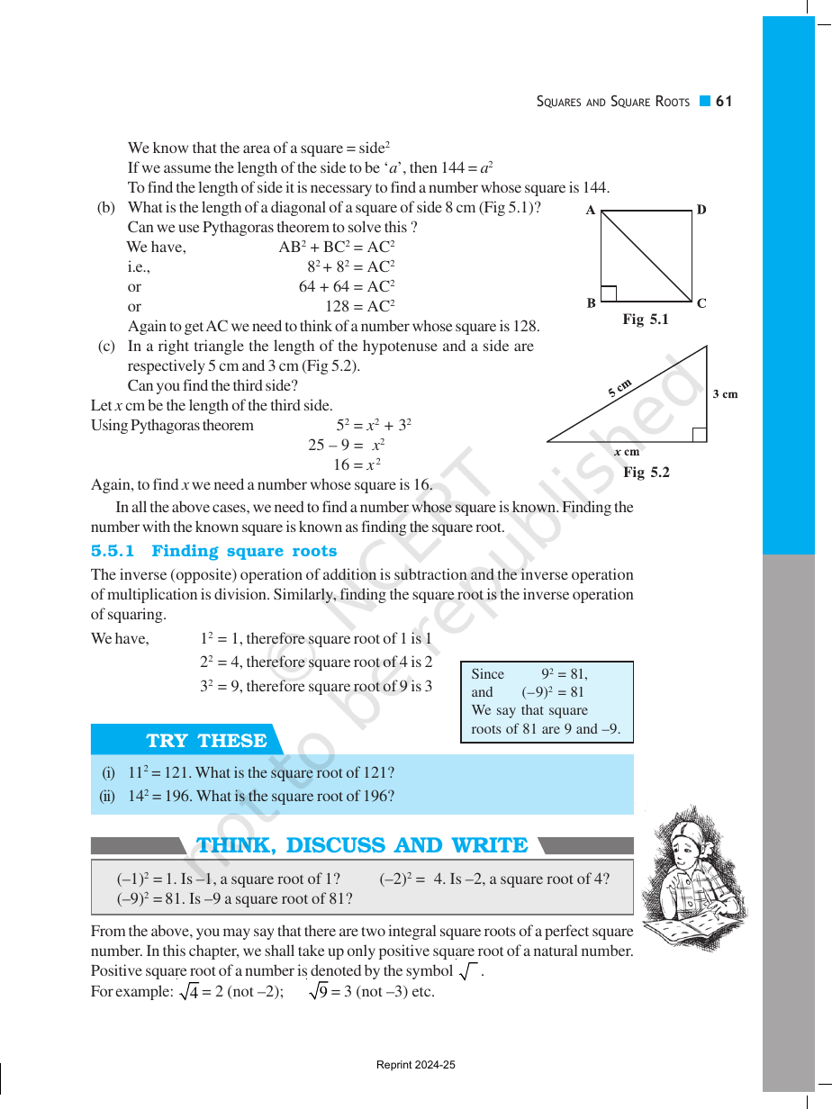 Page 11 of Squares and Square Roots