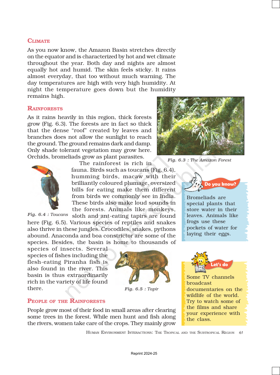 Page 3 of Natural Vegetation and Wildlife