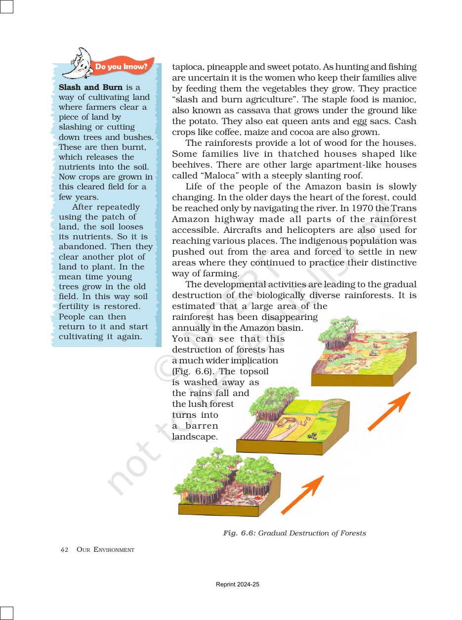 Page 4 of Natural Vegetation and Wildlife