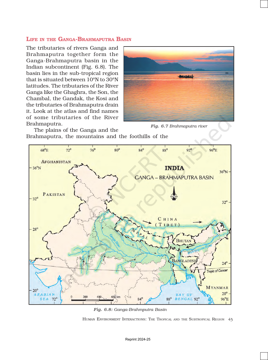 Page 5 of Natural Vegetation and Wildlife