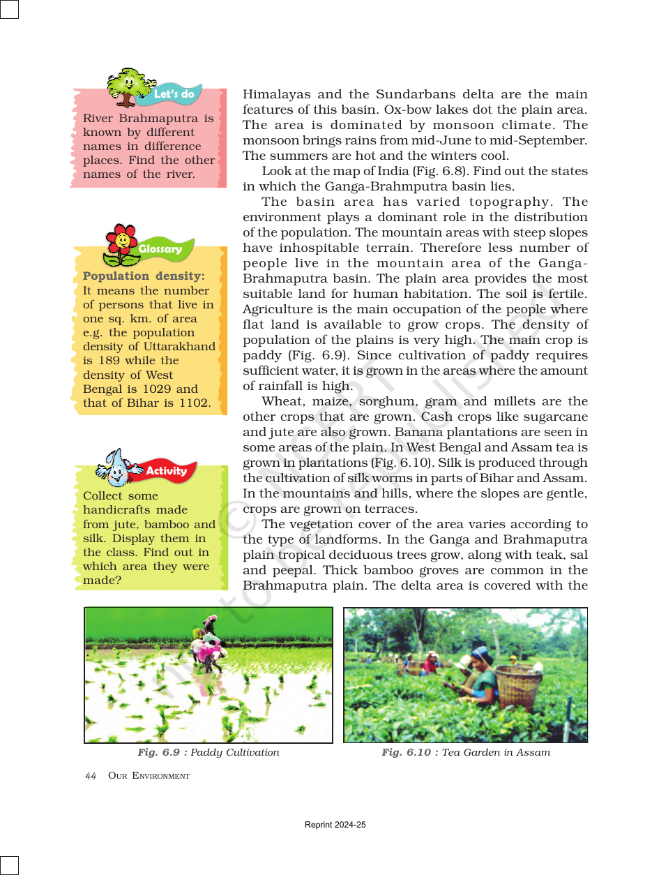 Page 6 of Natural Vegetation and Wildlife