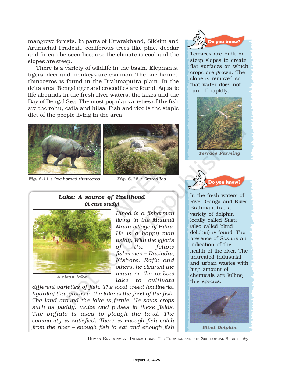 Page 7 of Natural Vegetation and Wildlife