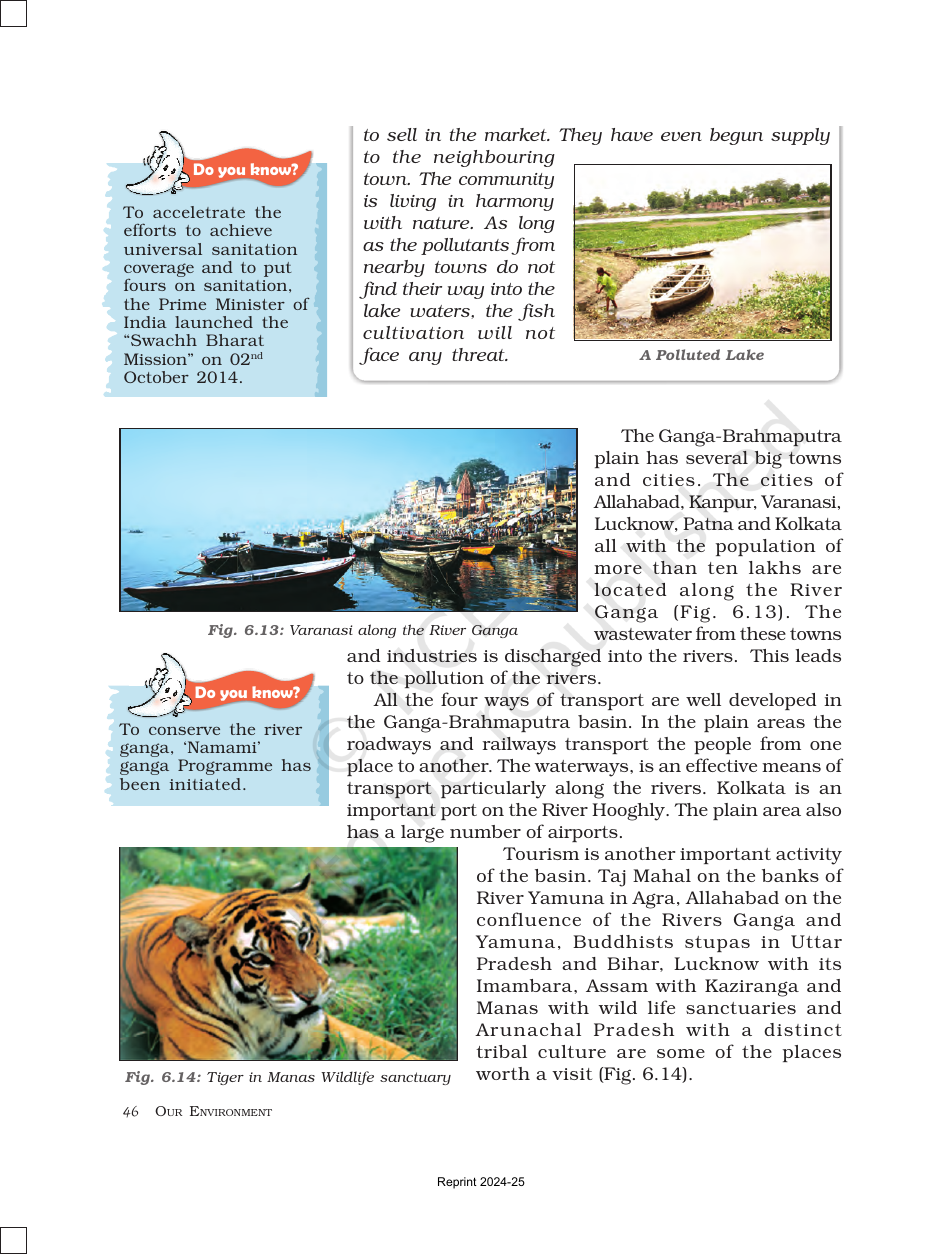 Page 8 of Natural Vegetation and Wildlife