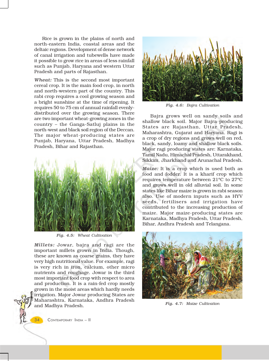 Page 5 of The Age of Industrialisation